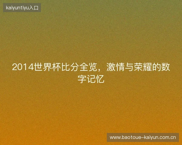 2014世界杯比分全览，激情与荣耀的数字记忆